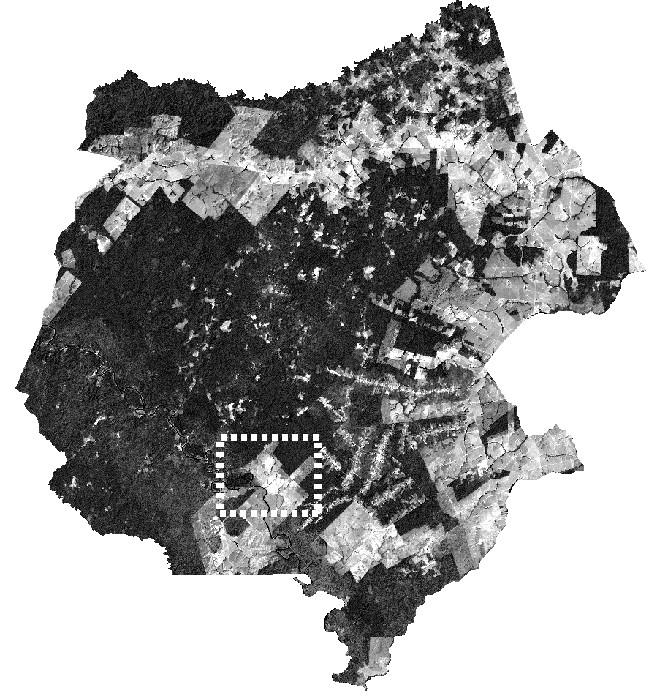 44 FIGUEIREDO, S. M. de M. & CARVALHO, L. M. T.