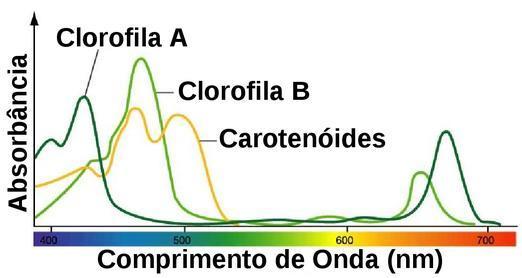 Existem diversos tipos de