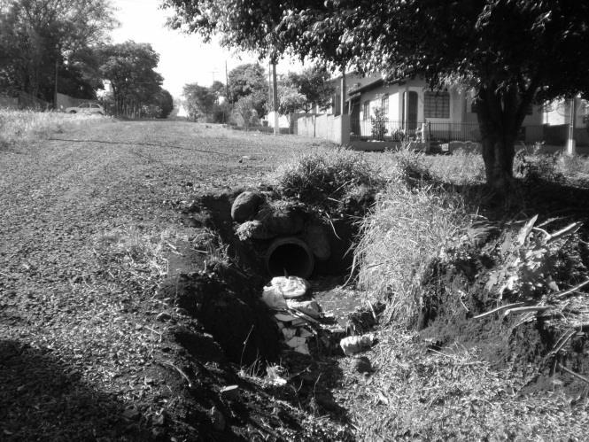 Nas proximidades da Rua Dálias, que se encontra a menos de 20 metros do córrego, existemtrês ravinas de até 90 centímetros de profundidade às margens do córrego.