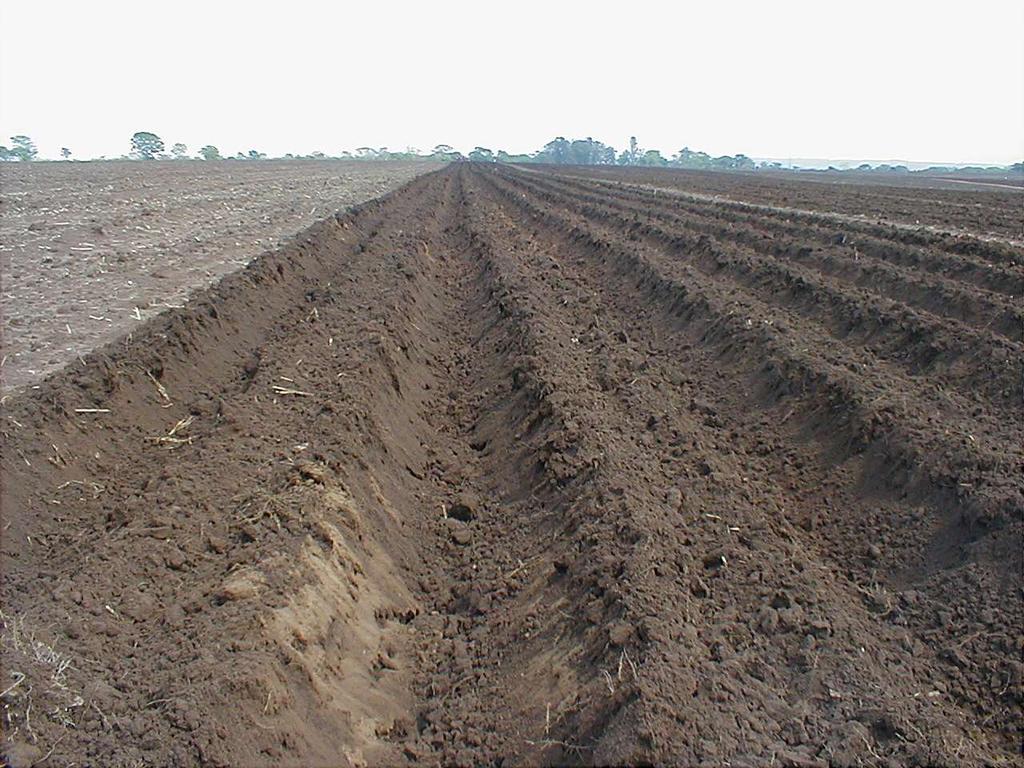 Parcelamento da adubação POTÁSSICA (Plantio) PLANTIO PÓS PLANTIO PRODUÇÃO DE CANA Latossolo vermelho amarelo kg K 2 O/ha kg K 2 O/ha t ha -1 0 0 60