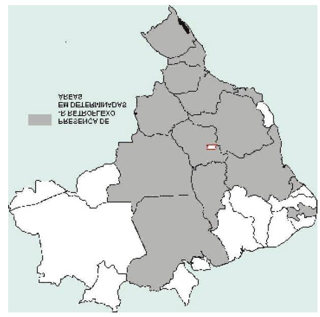 138 Estudos sobre o português do Nordeste: língua, lugar e sociedade Os paulistas, assim como os pernambucanos e baianos, foram os primeiros colonizadores daquelas terras.