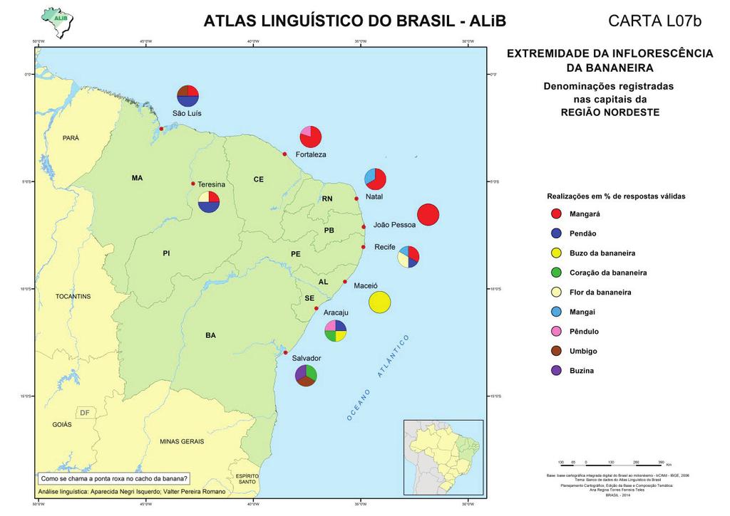 Que traçados faz o léxico do Nordeste? (Considerações a partir do Atlas linguístico do Brasil) 21 Quadro 7 Inflorescência da bananeira: ocorrências específicas no Nordeste.