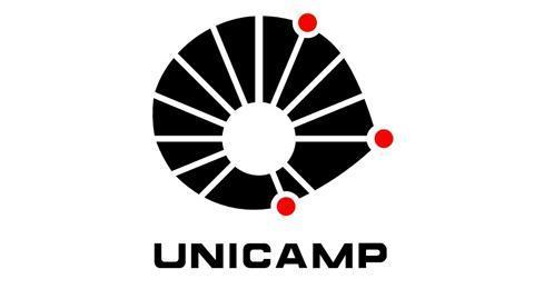 Universidade Estadual de Campinas - UNICAMP Faculdade de Engenharia Mecânica FEM Projeto UAV Motorização a Combustão Relatório Final Dimensionamento e projeto de UAV com