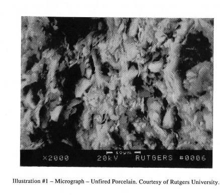 Queima Morfologia Micrografias obtidas por Microscopia Eletrônica de Varredura da