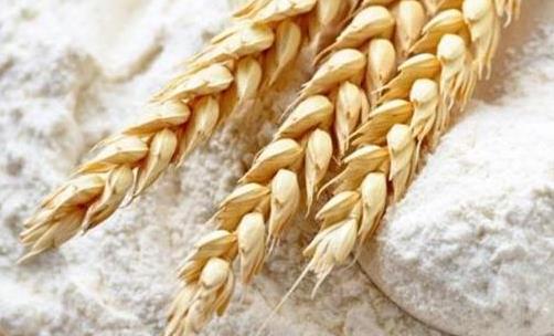 Novo comportamento do consumidor Como está distribuído o mercado consumidor de farinha de trigo 56%