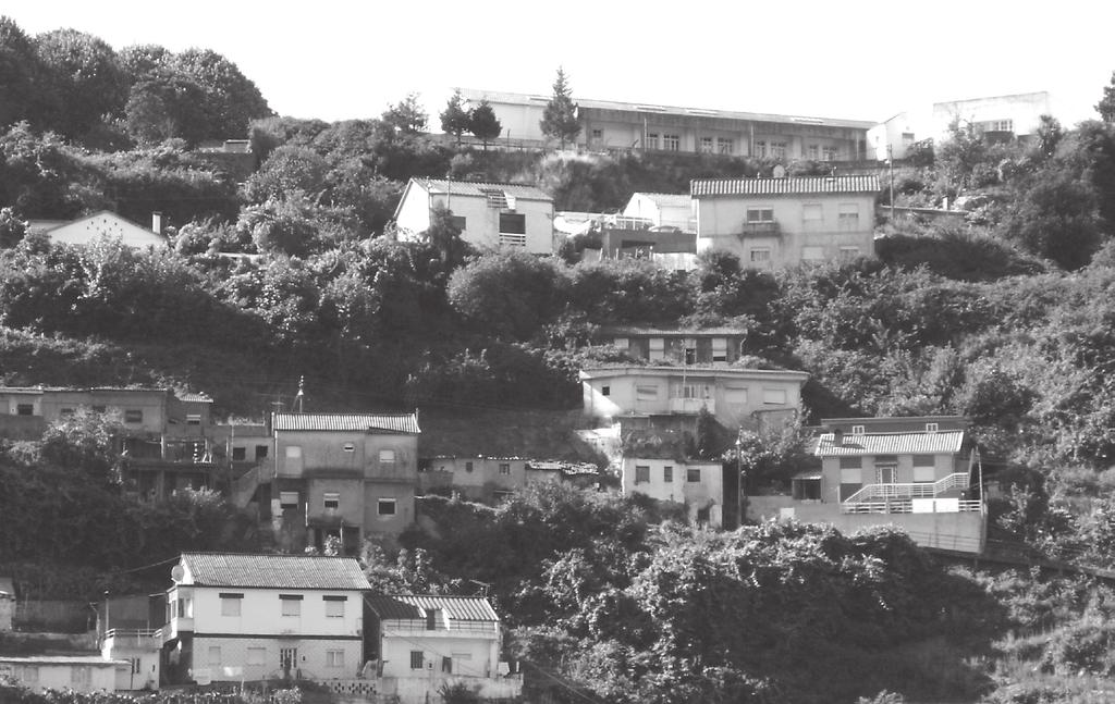 Robaina, L. E. S. et al Figura 6 - Fotografia de frente onde pode-se observar uma porção côncava da encosta e as habitações ocupando diferentes patamares (Fonte: Trabalho de Campo, 2008).