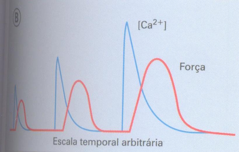 Mecanismos de regulação da força de contração