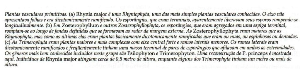 Taxonomia e Sistemática As plantas vasculares sem sementes, ou pteridófitas, são divididas em diversos grupos chamados Divisões, ou Filos.