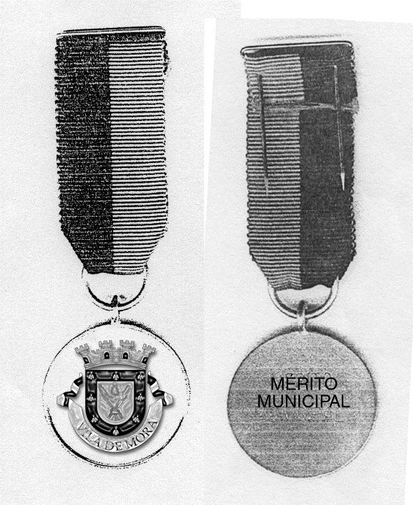 MEDALHA DE MÉRITO MUNICIPAL As Medalhas de Mérito Municipal obedecerão às dimensões do presente modelo.