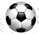 20) (IFGO 2014) Na Copa do Mundo de 1970, começou-se a utilizar uma bola confeccionada com pentágonos e hexágonos.