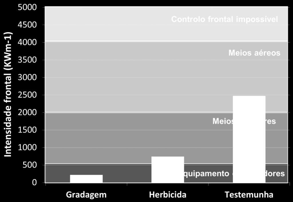 Perigosidade de Incêndio (Ensaio de P.