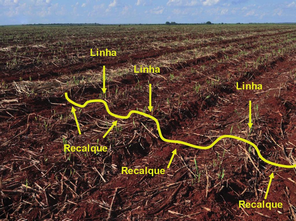 aumento na densidade do solo e consequente redução de poros e de permeabilidade, aumento na resistência à penetração de raízes (Figura 1a).