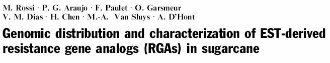 SUCEST 88 clusters homólogos 55 RGAs foram usados como sondas de