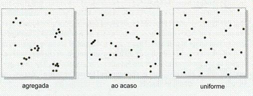 Dispersão: Espaço x Tempo Padrões de