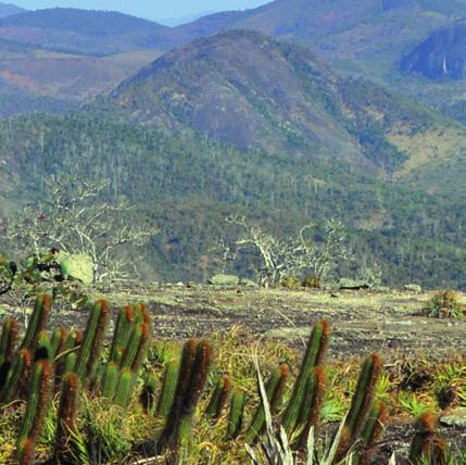 Desde 1912, mais de 40 milhões de pessoas já visitaram o local, atraídas pela vista espetacular da baía de Guanabara, das praias e das outras montanhas que se destacam.