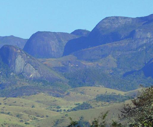 estratégias de sobrevivência De forma geral, os inselbergs apresentam condições ambientais