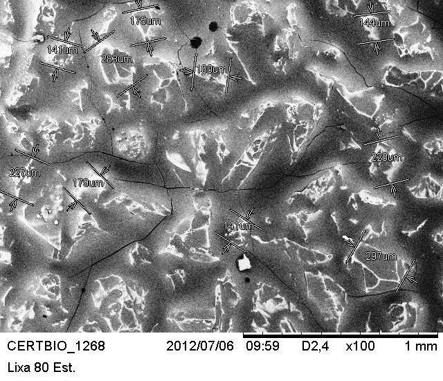 As imagens das análises de microscopia eletrônica de varredura das lixas d água esterilizadas em autoclave estão apresentadas nas Figuras 5 e 6. Figura 5 - MEV da Lixa d'água 80 esterilizada.