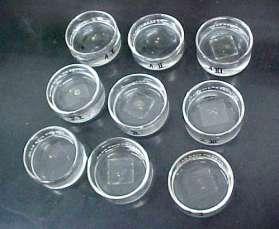 Material e Métodos Após a aplicação dos produtos, as lamínulas foram secas sob condições do laboratório por cerca de uma hora e após, colocadas a flutuar na água em uma placa de Petri de 5