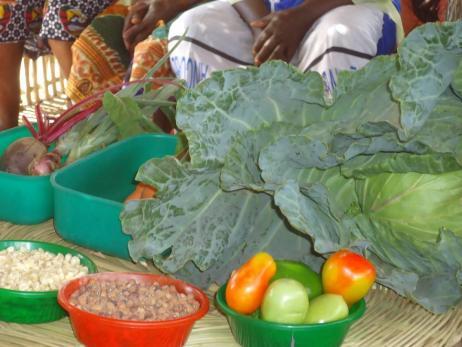 b) Segurança Alimentar e Nutricional Nome do Projecto: Programa de Segurança Alimentar e Nutricional Cliente/Financiador: ONG Alemã - INKOTA Local: Distrito de Ancuabe (Muaguide, Macaia, Naputa,