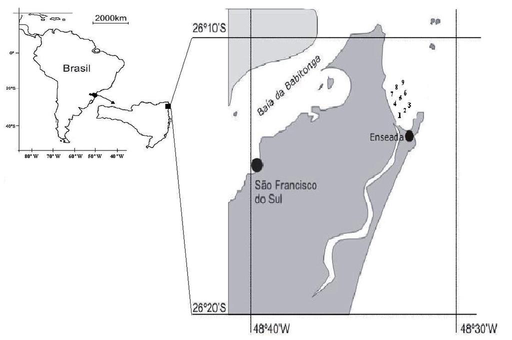 Matheus Oliveira Freitas, Henry Louis Spach, Mauricio Hostim-Silva Figura 1. Mapa da Baía de Ubatuba-Enseada, São Francisco do Sul (SC), indicando os pontos de coleta. Figure 1.