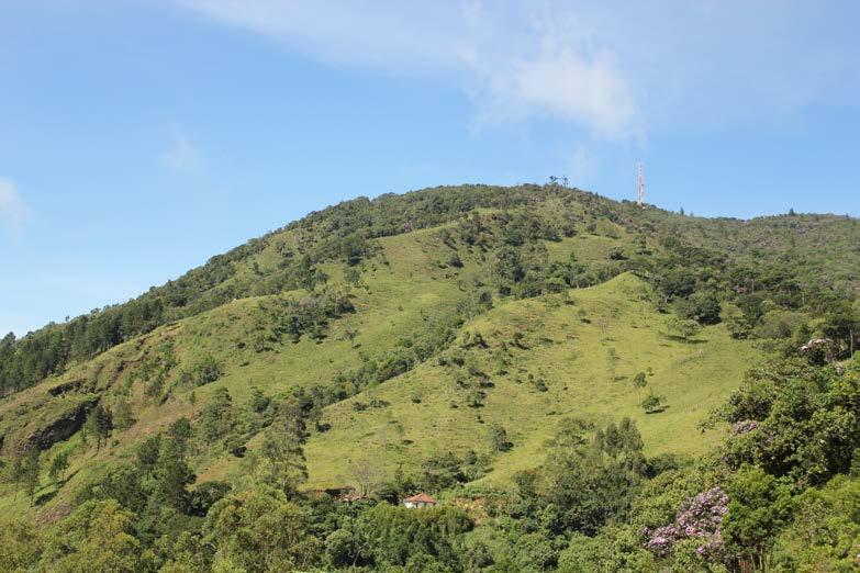 Figura 5: Terreno ao fundo com declividade > 20%, em São Bento do Sapucaí, SP. 3.1.