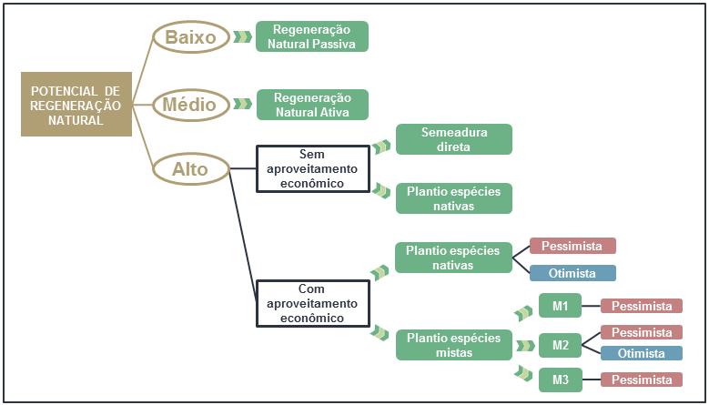 3.3 Aplicação dos modelos e técnicas de restauração florestal nos diferentes potenciais de regeneração natural e cenários econômicos Os diferentes modelos e técnicas de restauração florestal