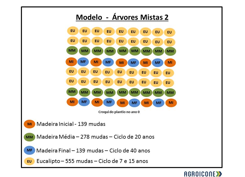 C. Árvores mistas 2: Neste modelo também há substituição das madeiras nativas iniciais pelo eucalipto, com os ciclos nos anos 6, 15, 20, 35 e 40.