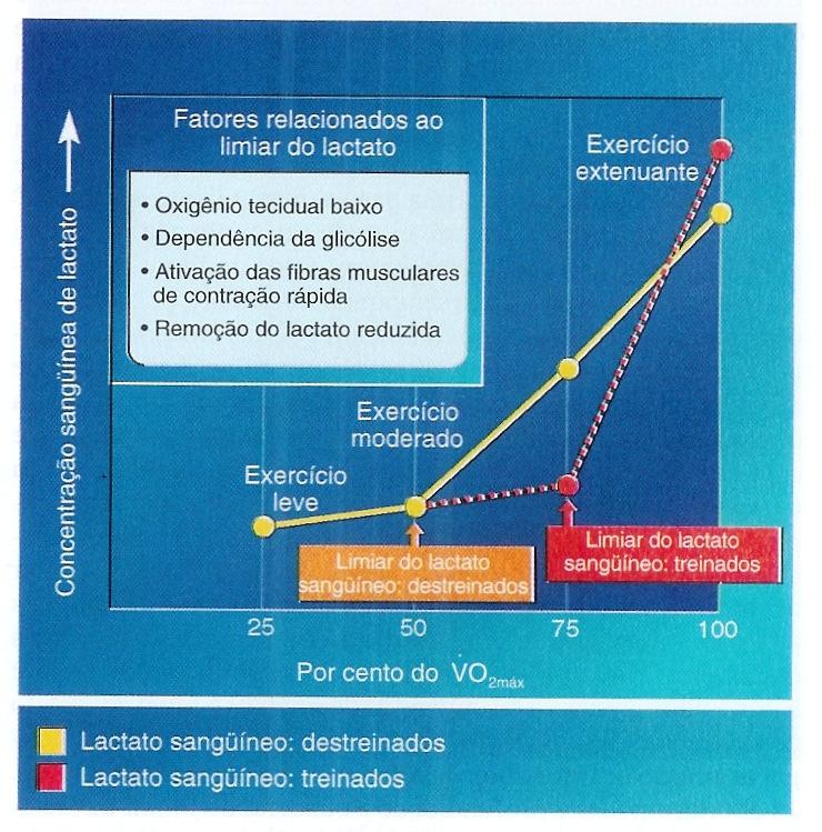 treinados e destreinados. 2009 Prof.