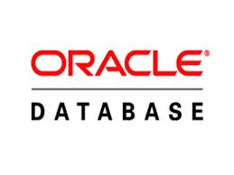 Apresentação Pessoal Ronaldo Martins: Há mais de 14 anos dedicado à tecnologias Oracle, passando pelas releases 8i, 9i, 10g, 11g e 12c do Oracle Database.