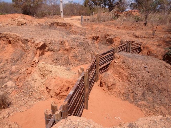 O município está totalmente inserido no bioma Cerrado e limita-se com os municípios de Barreiras, ao norte, Catolândia, Baianópolis e Santa Maria da