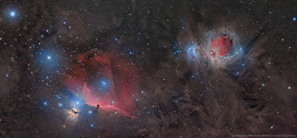 Orion giant molecular cloud