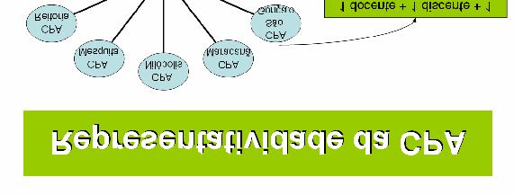 3 Proposta de estrutura A instituição não possui um Regimento aprovado pelo Conselho Superior 2 para a CPA que formalize as normas para seu funcionamento e representatividade dos campi.