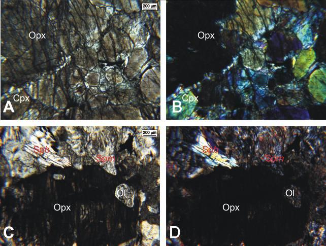 Prancha FD 26 117,45 m - A e B) Na sequencia, fotomicrografias em luz natural e luz polarizada, mostrando aglomerado de cristais