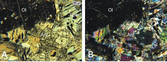 O arranjo textural e a composição modal, estimada na ordem de 70% de olivina e 30% de ortopiroxênio, caracterizam a rocha como olivina