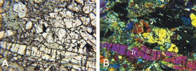 Prancha FD 26 220,00 m A e B) Fotomicrografias em luz natural e luz polarizada, respectivamente, exibindo cristais prismáticos de tremolita e