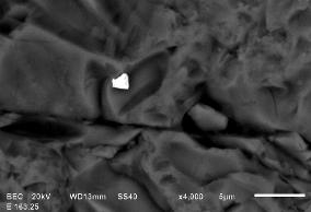 11: PGM incluso em silicato (serpentina). Ampliação 3.000x. Weight % S As Rh Pd Pt 163,25(6)_pt1 1.16 41.67 3.16 1.24 52.77 Figura 5.