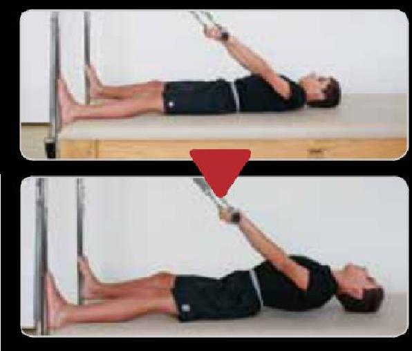 2 Posição de controle Material: pilates arch Objetivo: trabalhar braços, abdominais, estabilizadores de escápulas, glúteos e