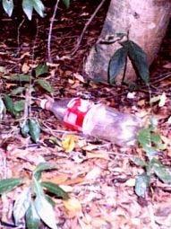 lançamento indiscriminado do lixo nos corpos receptores, o lixo ao ser depositado incorretamente em terrenos baldios se desloca até os rios através da ação das enxurradas.