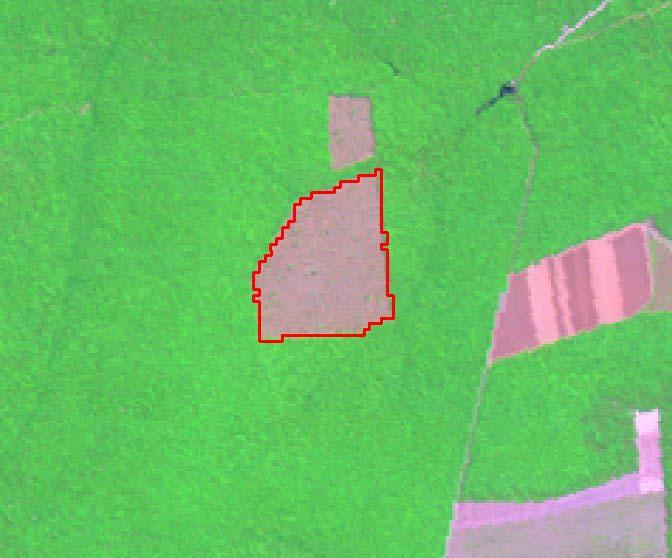 Análise das imagens de satélite UF: Mato Grosso
