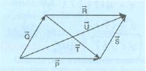 16-17- 18-Calcule as componentes Ax e Ay do vetor A. O módulo do vetor é A = 10.