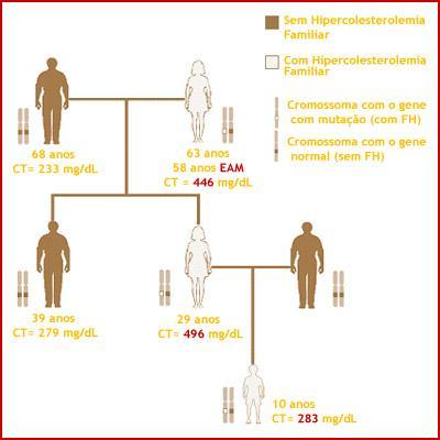 23 A figura 4 é uma ilustração de um caso familiar de hipercolesterolemia, em que o gene anormal é herdado pelos indivíduos e estes apresentam colesterol elevado.