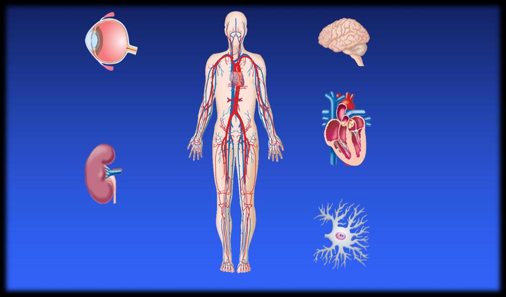 4 Neuropatia Diabética: Causa amputações não-traumáticas nas extremidades. 5 1 Fong DS, et al. Diabetes Care 2003; 26 (Suppl. 1):S99 S102.