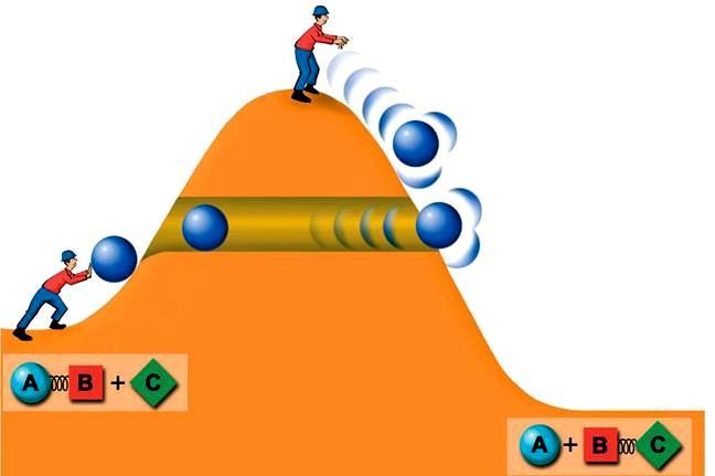 baixa quantidade de energia alta ENZIMAS Enzimas: a rapidez da vida depende delas sem enzima com enzima