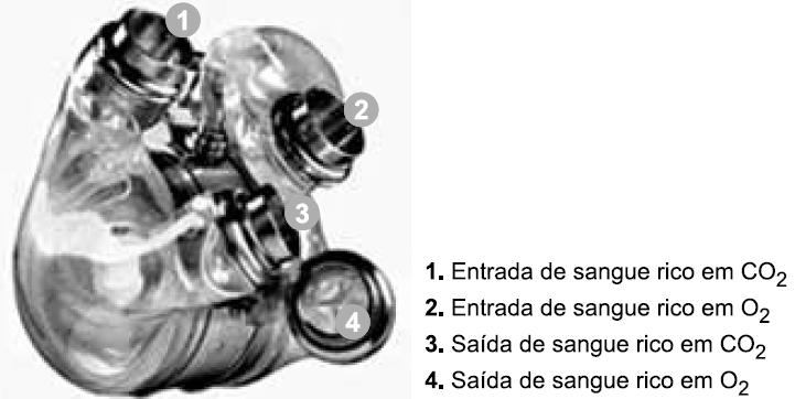 Exercícios Complementares 05. A pressão parcial do gás O2 (po2) e a do gás CO2 (pco2) foram medidas em duas amostras (I e II) de sangue colhidas simultaneamente de um homem normal.