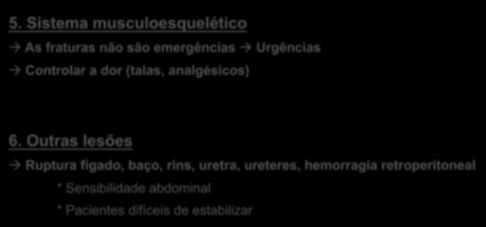 Sistema nervoso Cérebro Medula espinhal Nervos periféricos 5.