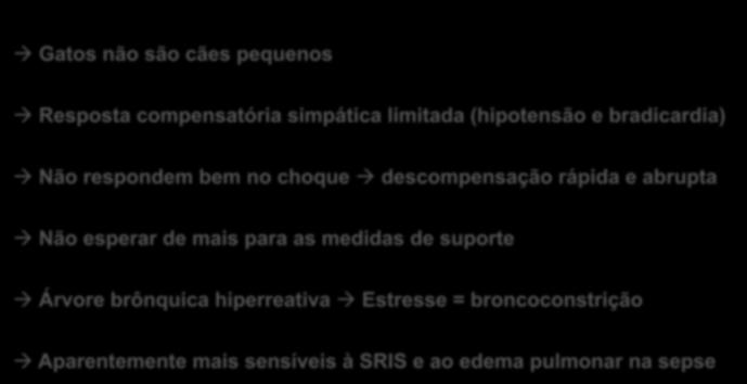 Gatos não são cães pequenos Resposta compensatória simpática limitada (hipotensão e