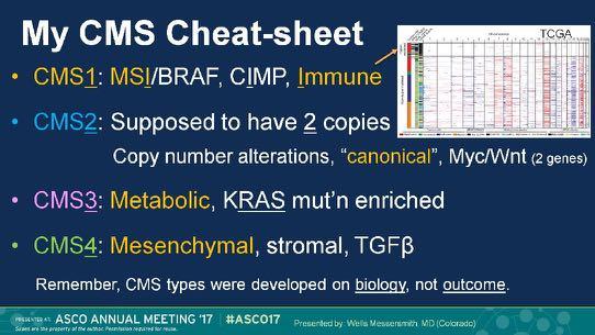 CALGB/SWOG 80405 ANÁLISES TRANSLACIONAIS E CORRELATIVAS