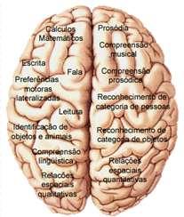 ...LINGUAGEM período crítico para o desenvolvimento da linguagem, seja ela verbal ou gestual (2 anos puberdade) Linguagem capacidade exclusivamente humana * Capacidade de adquirir nova língua formas: