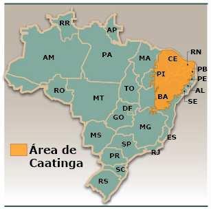 A caatinga ocupa uma área de cerca de 844.453 quilômetros quadrados, o equivalente a 11% do território nacional.