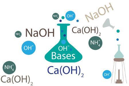 Características das Bases As bases formam